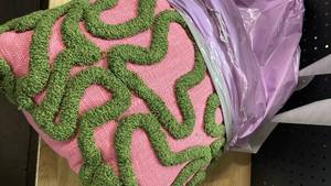 lot 13821 image: Pink and Green throw pillow