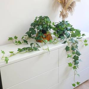 lot 13842 image: Fake English Ivy Plants in Pots Set of 2 � Realistic Artificial Ivy Greenery for Home Decor, Tabletop, Office, Shelf, Balcony or Bathroom � Lifelike Faux Hanging Vines, No Maintenance Required