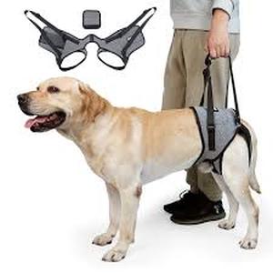lot 12091 image: CNEO Black Dog Lift For Senior,Disabled Dogs Size Small
