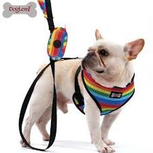 lot 12136 image: DCLUX Rainbow Pet Harness