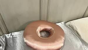 lot 14363 image: Donut pillow