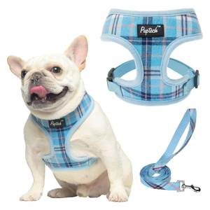 lot 14008 image: PUPTECK Soft Mesh Dog Harness and Leash Set Pet Puppy Cat Comfort Padded Vest No Pull Harnesses, Light Blue, M