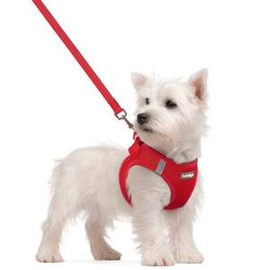 lot 20300 image: rabbitgoo Dog Harness Small Sized and Leash Set, Step in Soft Light Puppy Vest, Breathable Mesh Pet Harness, Reflective for Safe Easy Walking, Red S