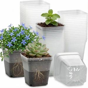 lot 111013 image: RooTrimmer 60 Pcs Clear Square Nursery Pots 4 Inch, Reusable Seedling Pots with Drainage Holes, Transparent Small Plant Potting Pot Containers for Seedlings Microgreens, Flowers, Indoor Gardening