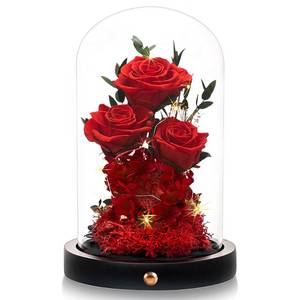 lot 1741 image: DENIMOMO Valentines Day Flowers Roses Gifts for Women Her,Forever Preserved Rose in Glass Dome, Valentines Anniversary Birthday Real Roses Gifts for Wife Women Girlfriend Best FriendRed