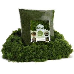 lot 10277 image: USMOLA 16OZ Fake Green Moss for Crafts, Artificial Moss for Potted Plants Decor, Bulk Moss for IndoorOutdoor Use, DIY Floral Arrangements, Terrariums & Fairy Gardens (Dark Green)