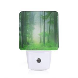 lot 12365 image: ENUIEO Misty Forest Night Light, Fantasy Green Tree Night Lights Plug Into Wall with Dusk to Dawn Sensor Wall Lamp, Nightlights for Bedroom, Bathroom, Hallway, Kitchen, Gifts Ideal for Girls Women