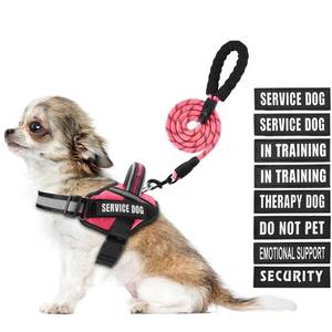 lot 12373 image: Service Dog Vest Harness and Leash Set, Animire in Training Dog Harness with 10 Dog Patches, Reflective Dog Leash with Soft Padded Handle for Small, Medium, Large, and Extra-Large Dogs (Rosy,XS)