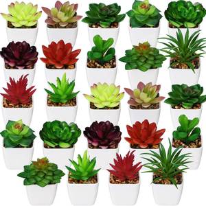 lot 13949 image: Yunlly 24 Pack Artificial Succulents Plants Mini Fake Succulents in Pots Small Potted Plants Decoration for Indoor Home Office Desk Window Bathroom Bedroom