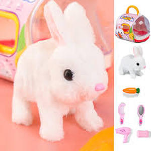 lot 12395 image: Walking Toy Pet with Grooming Set