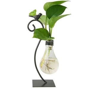 lot 5092 image: Marbrasse Desktop Glass Planter Hydroponics Vase,Planter Bulb Vase with Holder for Home Decoration,Modern Creative Bird Plant Terrarium Stand, Scindapsus Container (Bulb Vase)