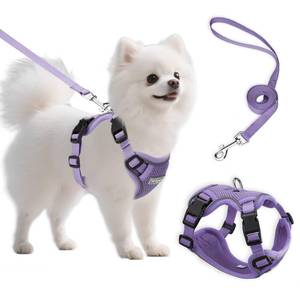 lot 14166 image: Ychpaw Small Dog Harness and Leash Set, Reflective Soft Breathable Mesh Vest, 3 Buckles, Adjustable Neck and Chest,Step in Dog Harness for Walking, Running, Training, Purple, S