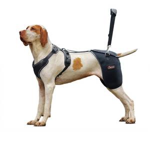lot 20445 image: LISPOO Dog Hip Support Brace - Adjustable Dog Leg Brace for Hip DysplasiaArthritisPain Relief, Warm & Breathable Luxating Patella Stabilizer, Post-Surgery Recovery(Size L)