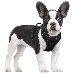 lot 20394 image: rabbitgoo Dog Harness No Pull with 2 Leash Clips, Adjustable Soft Padded, Reflective Oxford No Choke Pet Vest with Easy Control Handle for Small Dogs, Black, S