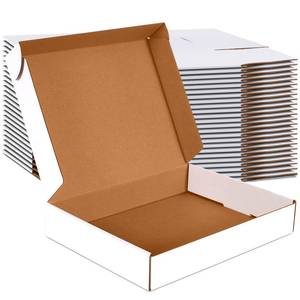 lot 1133 image: JOWLOT 12x9x2 inch Small Shipping Boxes Set of 25, White Corrugated Cardboard Box Literature Mailer for Mailing Packing Moving and Storage - Retail $23