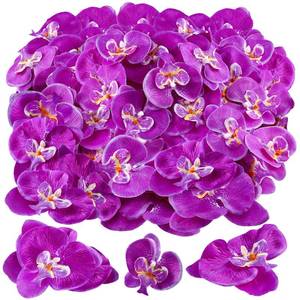 lot 15983 image: 80 Pcs Orchids Artificial Flowers Silk Phalaenopsis Flower Heads Fake Orchids Flowers for Cocktails Drink False Butterfly Orchid Head for Wedding Floral Bouquet DIY Craft Bridal Decor(Dark Purple) - Retail $20