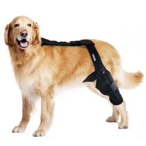 lot 16070 image: MerryMilo Dog Knee Brace for Torn ACL, Leg Brace for Cruciate Ligament, Arthritis Relief, Joint Stability & Injury Recovery, Size S, Color Black - Retail $46