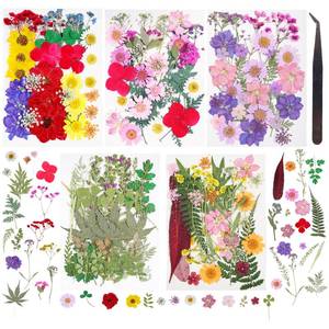 lot 35551 image: 180Pcs Dried Pressed Flowers Resin Mould Real Pressed Flowers Natural Dry Leaves Bulk Mixed Colorful Herbs Kit with Tweezers for Scrapbooking DIY Candle Jewelry Crafts Making Nails