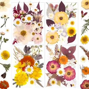 lot 35595 image: 92 Pcs Dried Pressed Flowers for Resin Molds, Vintage White Real Natural Bulk Dry Wildflowers Leaves Perfect for Epoxy, DIY Crafts, Nails, Soap Candles Jewelry Making, and Home Decor - Retail $14