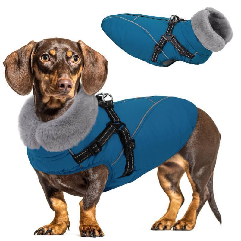 lot 25011 image: Dog Coat,Windproof Dog Coat for Medium Dogs,Dogs Jackets with Harness Built in,Waterproof Doggy Coats with Zipper On Back,Reflective Cold Weather Coats for Dachshund Boston Terrier,Blue,M - Retail $33