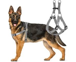 lot 7228 image: AKC Step-in Dog Harness Adjustable Solid Color Vest with Dual D-Rings, No-Pull Comfort Fit for Small Dogs