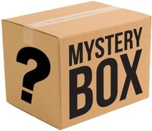 lot 4831 image: Clothing Mystery Box, Includes 10 Random Pieces of Clothing