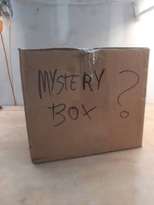 lot 15436 image: Mystery Box
