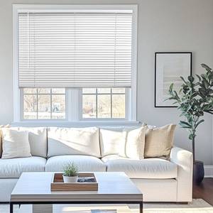 lot 4855 image: Chicology 42 W x 36 H White Cordless Vinyl Mini Window Blinds 1 Slats 2 Pack (See Details)