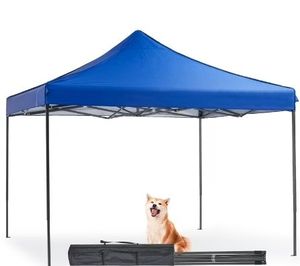 lot 6213 image: 10 x 10ft Pop Up Canopy Tent Portable Sun Shelter Canopy Tent with Sand Bags, Blue - Retail $81