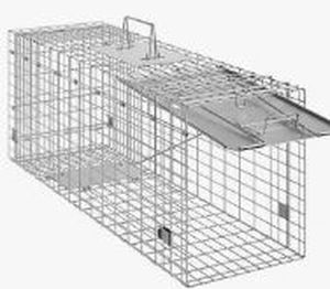 lot 16889 image: Animal Trap