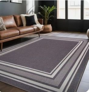 lot 6407 image: Modern Bordered Non Slip Indoor Rugs for Living Room 3x3 Area Rug Retail $100