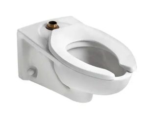 lot 6424 image: Afwall FloWise 1.28 GPF Elongated Toilet Bowl Only with Top Spud Flushometer in White - Retail $119