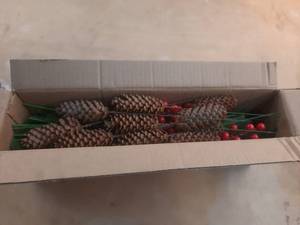 lot 15627 image: 27 Pcs Norfolk Pine Stems, Christmas Artificial Pine Branches