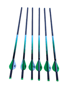 lot 13133 image: Centerpoint Archery CP400 Select 400 Grain Carbon Arrows 6 Pack (No Tips)