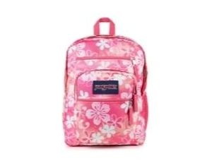 lot 6843 image: JanSport Big Student Backpack-Pink- Retail $55