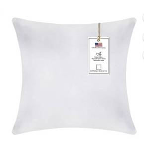 lot 15006 image: One Hypoallergic Throw Pillow 20x20