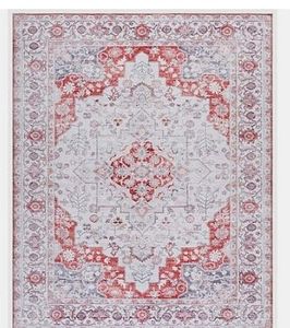 lot 30098 image: 8 x 10 Arizona Seine Oriental Machine Washable Area Rug Light GrayRust