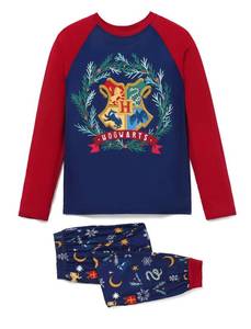 lot 31124 image: Harry Potter Pajamas Set-Mens M
