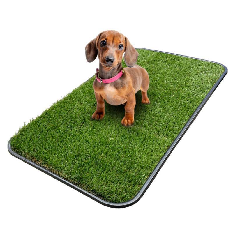 lot 4494 image: Ottomanson Artificial Grass Puppy Potty Training Pad with Tray, 15 x 30 Reusable Pee Pad for Small Pets and Dogs