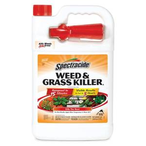 lot 30354 image: Spectracide Weed & Grass Killer Ready-to-Use  Kills Weeds and Grasses Down To The Root  1 Gal.