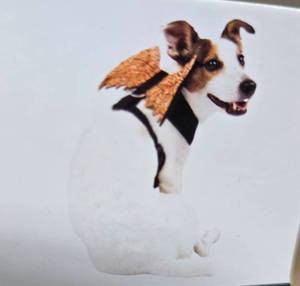 lot 122 image: DOG Harness, Medium
