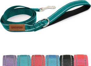 lot 5404 image: Pet & Posh Reflective Dog Leash - Premium Neoprene Padded Leash, Adjustable & Breathable Nylon for Safety and Style (Teal, 4 ft Narrow)
