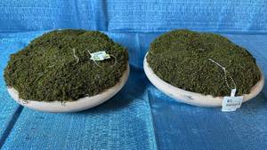 lot 2092 image: Pair Of Threshold 12 Round Decorative Faux Moss Bowls.
