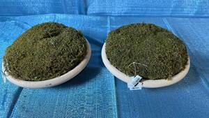 lot 2093 image: Pair Of Threshold 12�� Round Decorative Faux Moss Bowls.