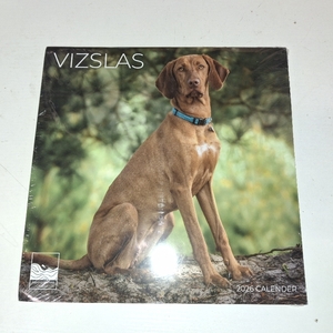 lot 8521 image: Vizlas 2026 Wall Calendar 12 Month  12 x 24 Open  Dog Photography Thick &amp Sturdy Paper for Organizing &amp Planning  Office Kitchen Decor or Gift  Pacific Waters Press