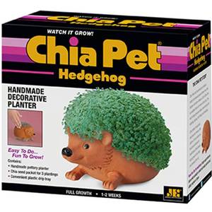 lot 8587 image: Chia Pet Hedgehog Decorative Planter Clay 1 pk