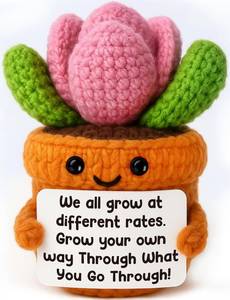 lot 5697 image: Positive Crochet Succulent   Inspirational Handmade knitted Plant Gift for Women Friends, Teens, Daughter, Teachers, Coworkers, Emotional Cheer Up Plush, and Motivational Encouragement Present