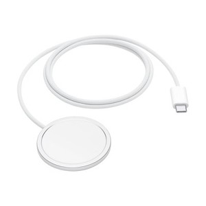 lot 12068 image: Apple MagSafe Charger (1m) (2025)