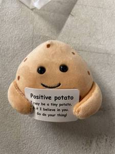lot 12141 image: Positive Potato Plush Toys, 3.5 Brown Emotional Inspirational Support Plush with Positive Card, Funny Stuffed Birthday Gifts for Women Men Her Friends Coworkers Colleges Graduation