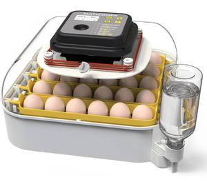 lot 15593 image: MATICOOPX 30 Egg Incubator with Humidity Display, Egg Candler, Automatic Egg Turner, for Hatching Chickens - Retail $199